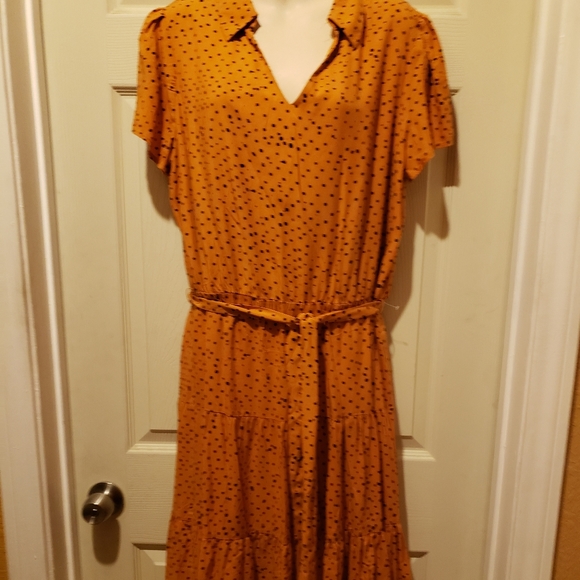 Tahari Dresses & Skirts - Tahari Burnt Orange Maxi Large Dress